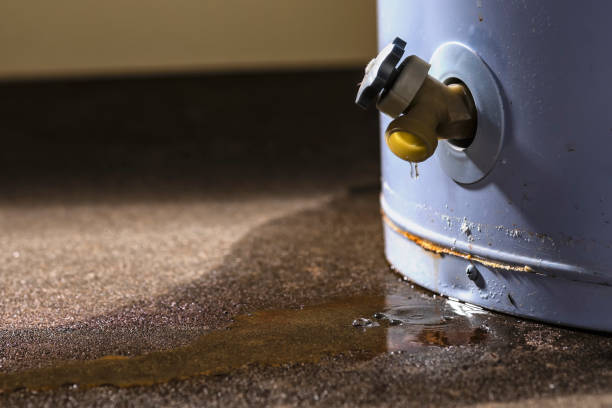 Best Carpet water damage restoration  in Nicholson, GA