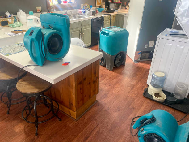 Best Water damage restoration specialists  in Nicholson, GA