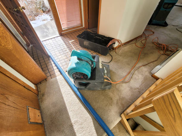  Nicholson, GA Water damage restoration Pros