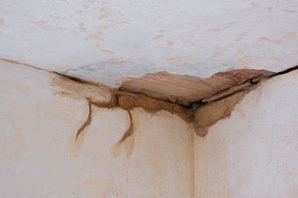 Best Water damage restoration near me  in Nicholson, GA