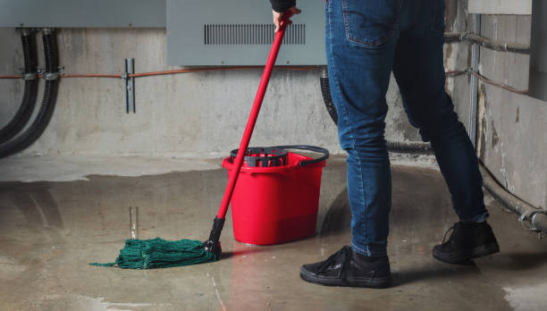 Best Carpet water damage restoration  in Nicholson, GA