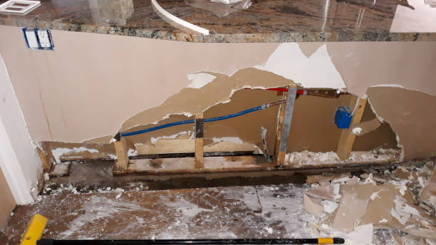 Best Flood restoration services  in Nicholson, GA