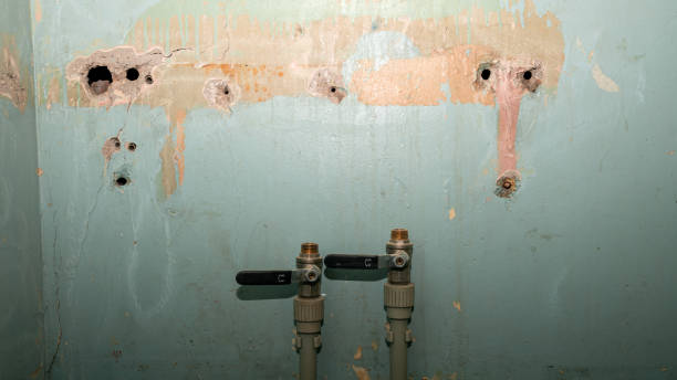 Best Water damage cleanup near me  in Nicholson, GA