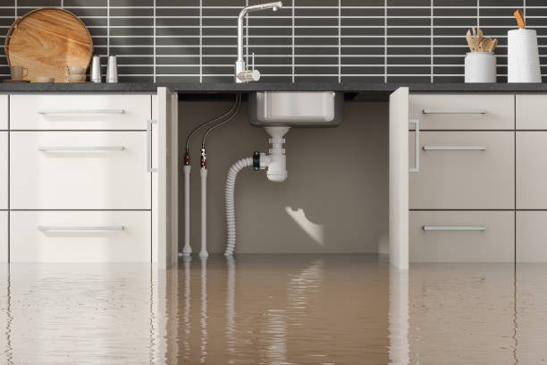 Best Flooded house restoration  in Nicholson, GA