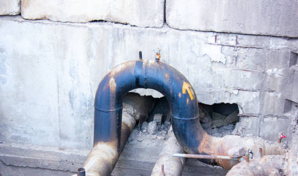 Best Carpet water damage restoration  in Nicholson, GA