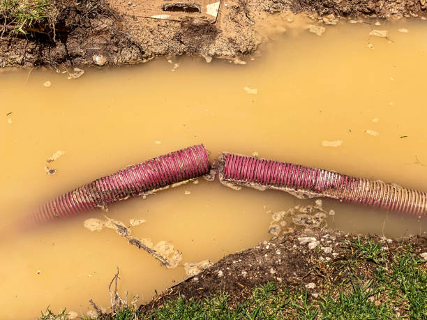 Best Water damage restoration mold remediation  in Nicholson, GA